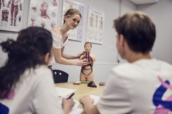 En elev går igenom de olika organen i kroppen för sina klasskamrater under en lektion.
